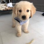 Eli (Female)