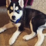 Kyle (Male)