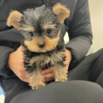 Ten (Male)